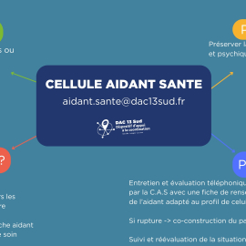 Schéma de la Cellule Aidant Santé
